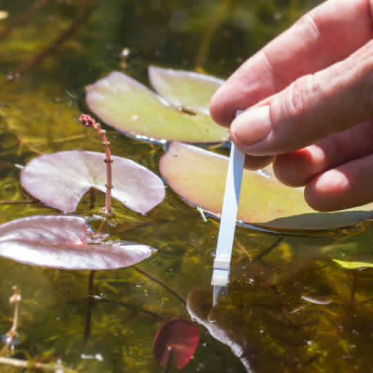 medicion-agua-test-estanque