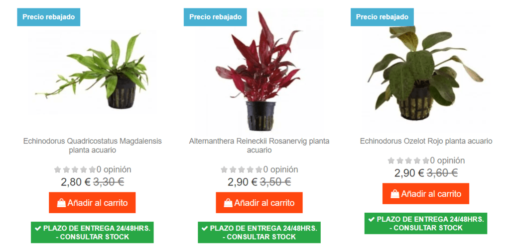 plantas acuario