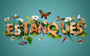 estanque de jardin